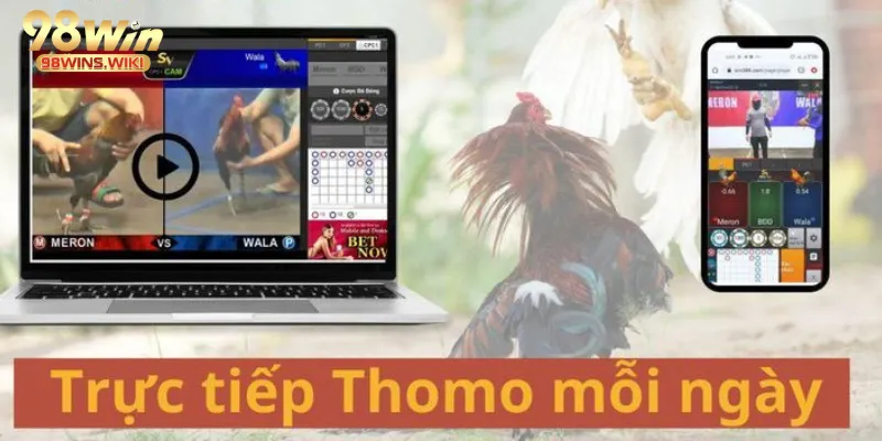 Người chơi truy cập chính xác link đá gà Thomo 